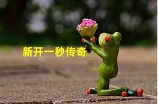新开一秒轻变传奇